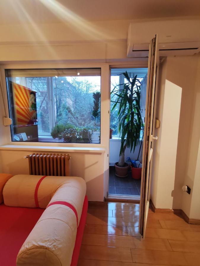 Comfy & Pleasant Apartment 10 Min Walk To Downtown Timişoara Exterior foto