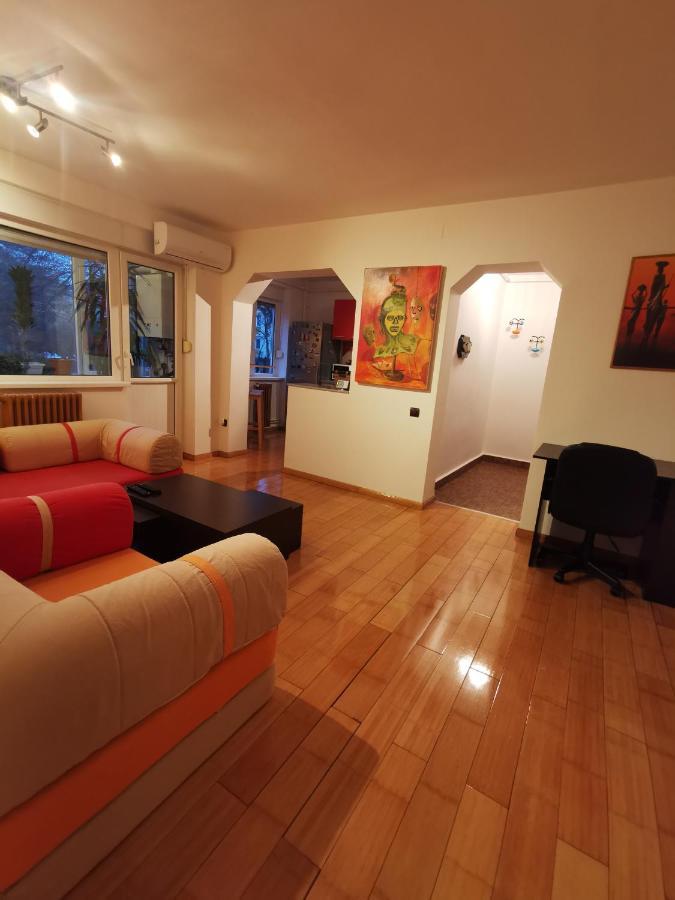 Comfy & Pleasant Apartment 10 Min Walk To Downtown Timişoara Exterior foto
