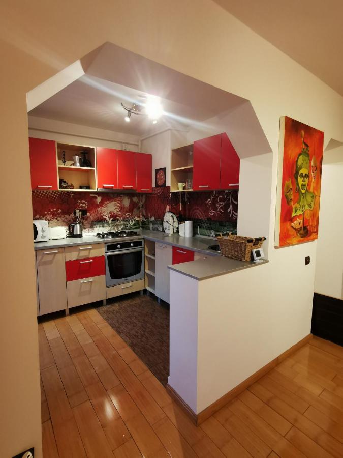 Comfy & Pleasant Apartment 10 Min Walk To Downtown Timişoara Exterior foto