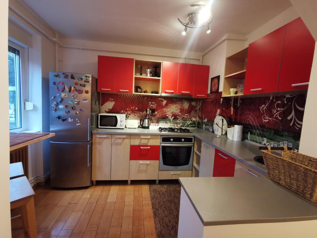 Comfy & Pleasant Apartment 10 Min Walk To Downtown Timişoara Exterior foto