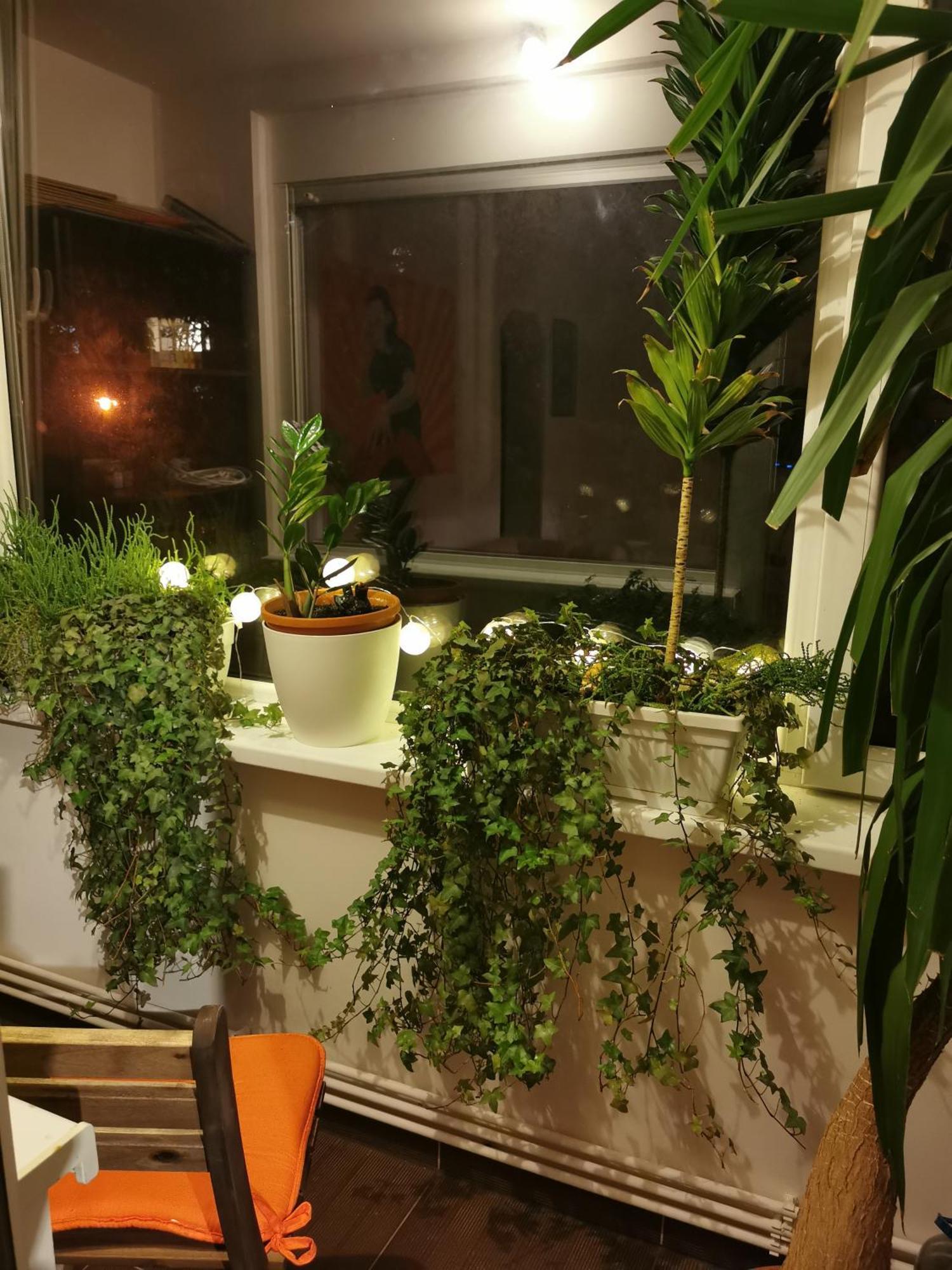 Comfy & Pleasant Apartment 10 Min Walk To Downtown Timişoara Exterior foto