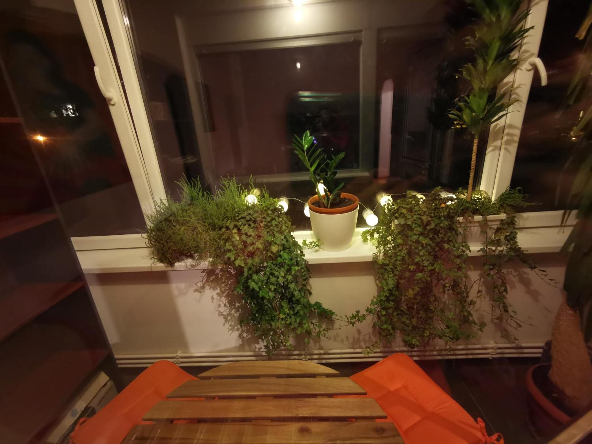 Comfy & Pleasant Apartment 10 Min Walk To Downtown Timişoara Exterior foto