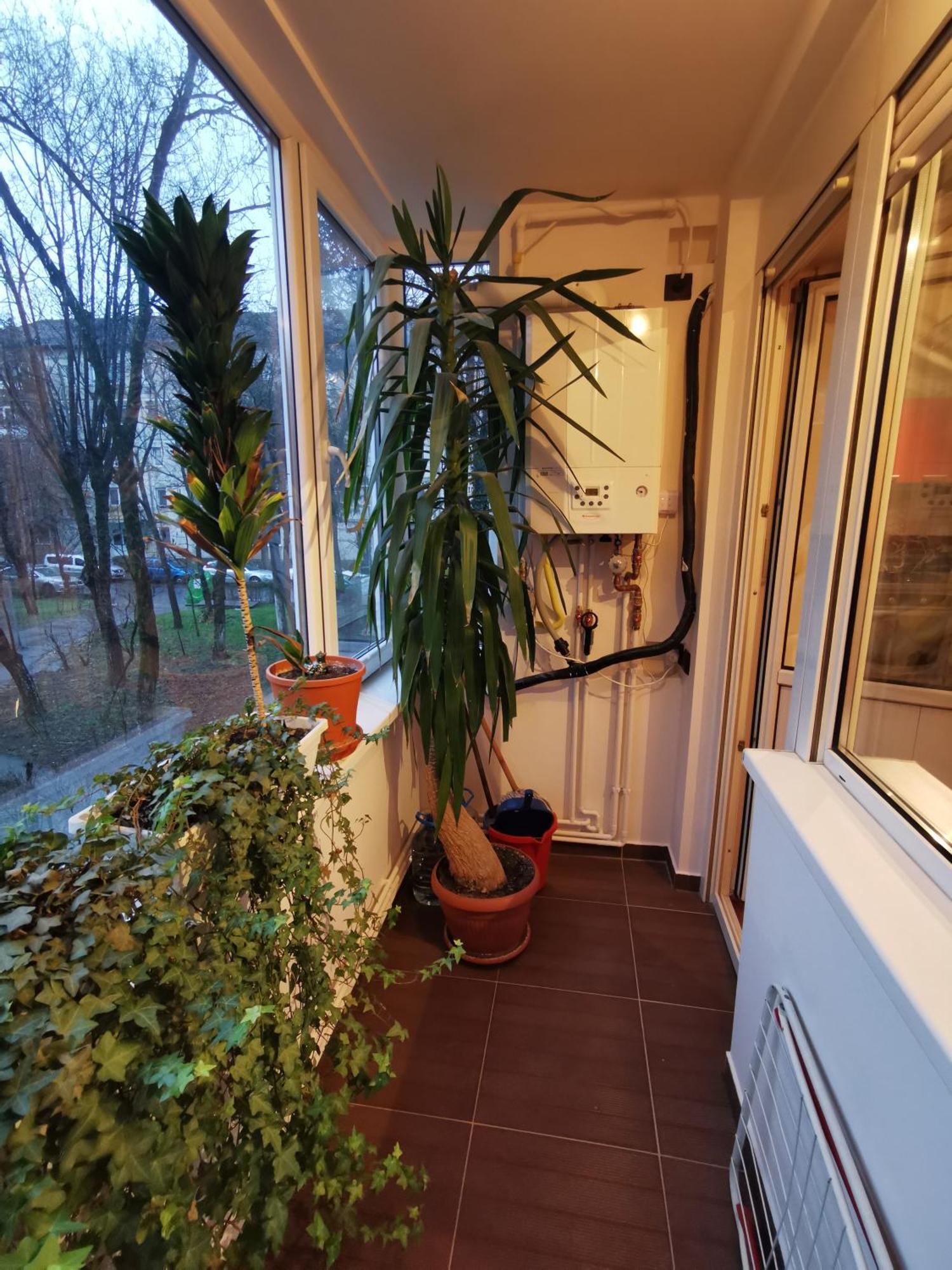 Comfy & Pleasant Apartment 10 Min Walk To Downtown Timişoara Exterior foto